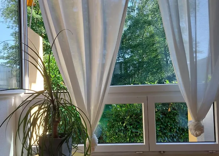 El Destino * Zúrich